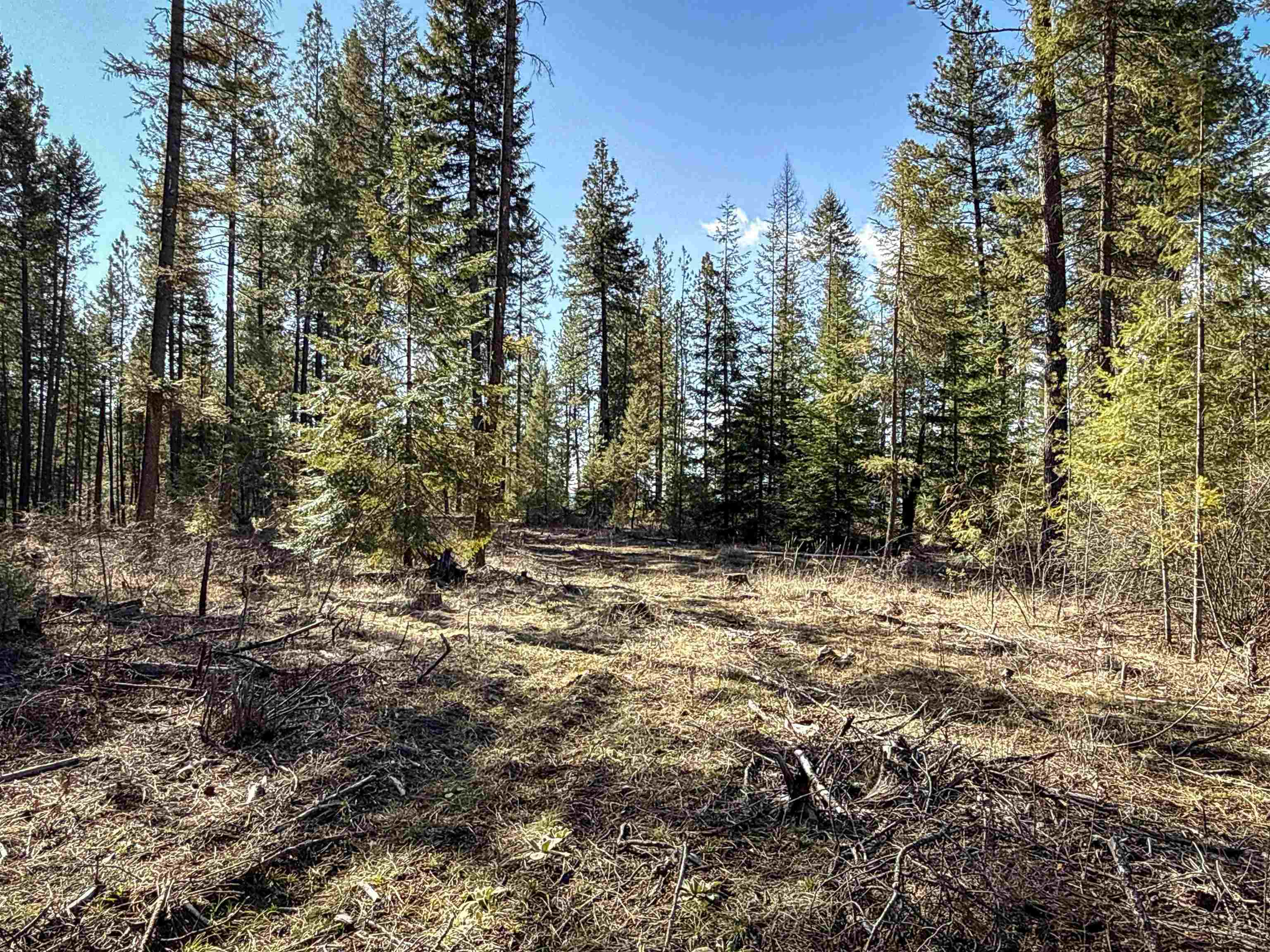 326 Rd Cusick Wa 99119 Road Cusick, WA 99119 - Photo 9 of 39