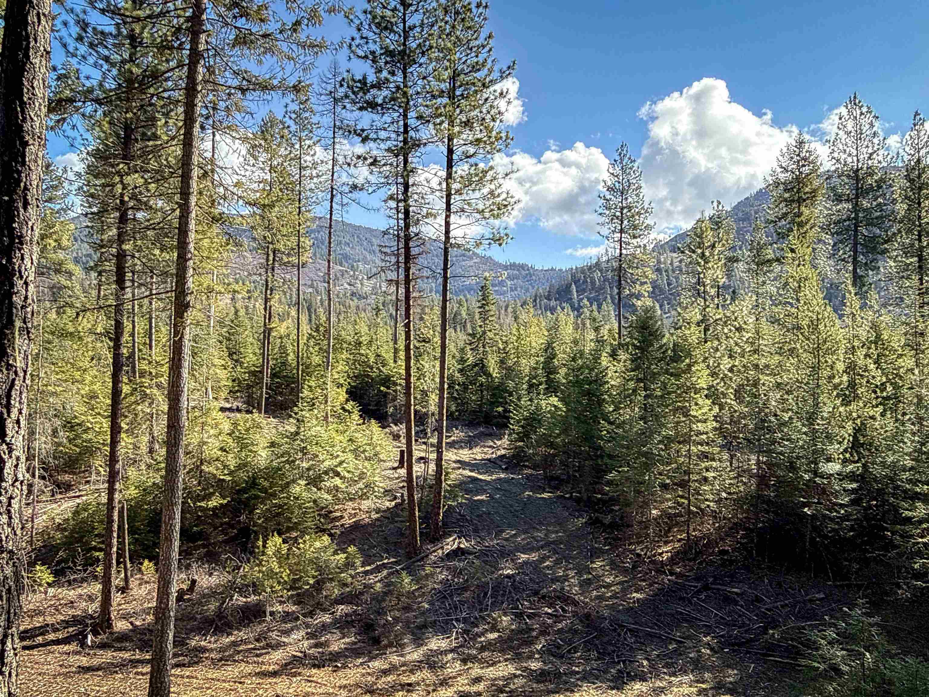 326 Rd Cusick Wa 99119 Road Cusick, WA 99119 - Photo 10 of 39