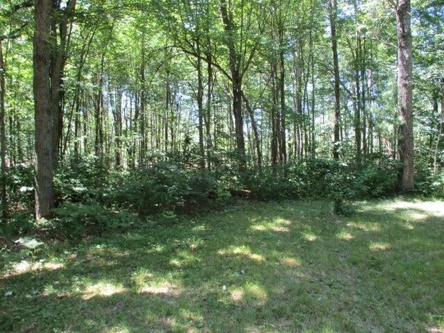 4619 Centerline Road Lewiston, MI 49756 - Photo 4 of 23 Gallery Image 4