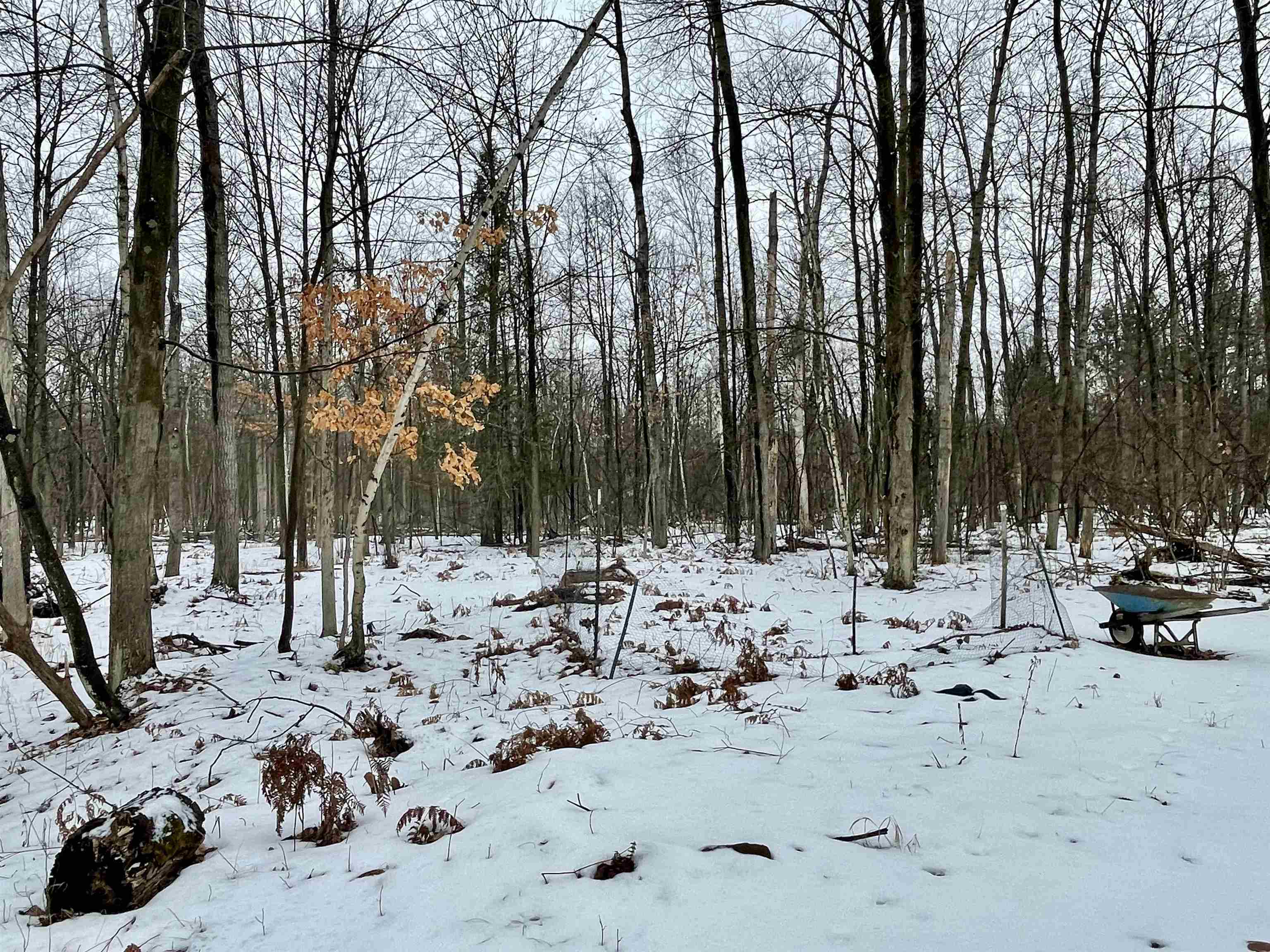 2188 South Porter Road Midland, MI 48640 - Photo 15 of 16