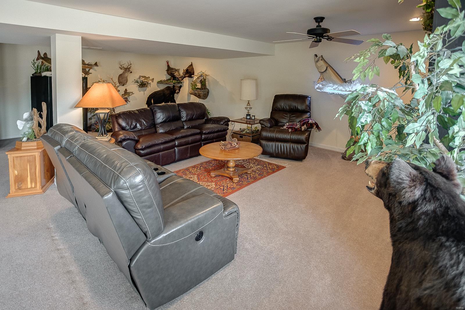 4565 Ee Road Columbia, IL 62236 - Photo 38 of 65 Gallery Image 38