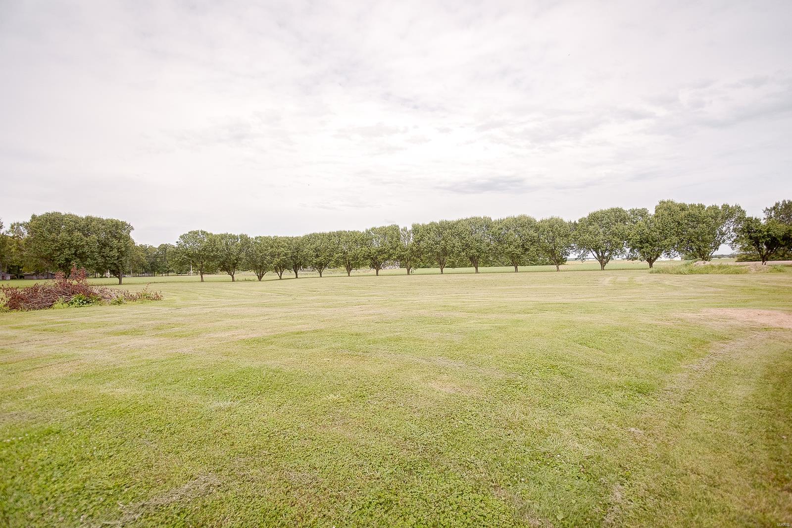 4565 Ee Road Columbia, IL 62236 - Photo 45 of 65 Gallery Image 45