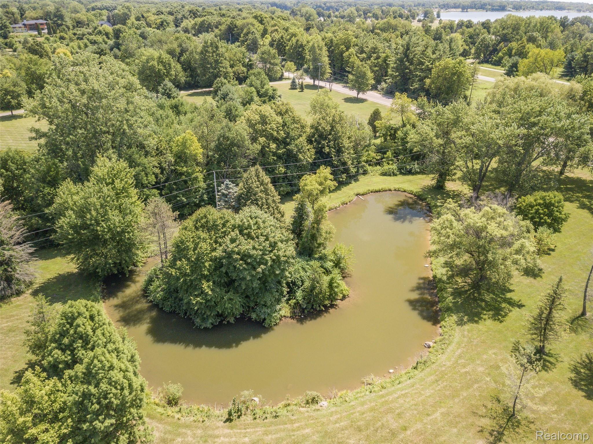 1955 East Snell Road Rochester, MI 48306 - Photo 40 of 49 Pond