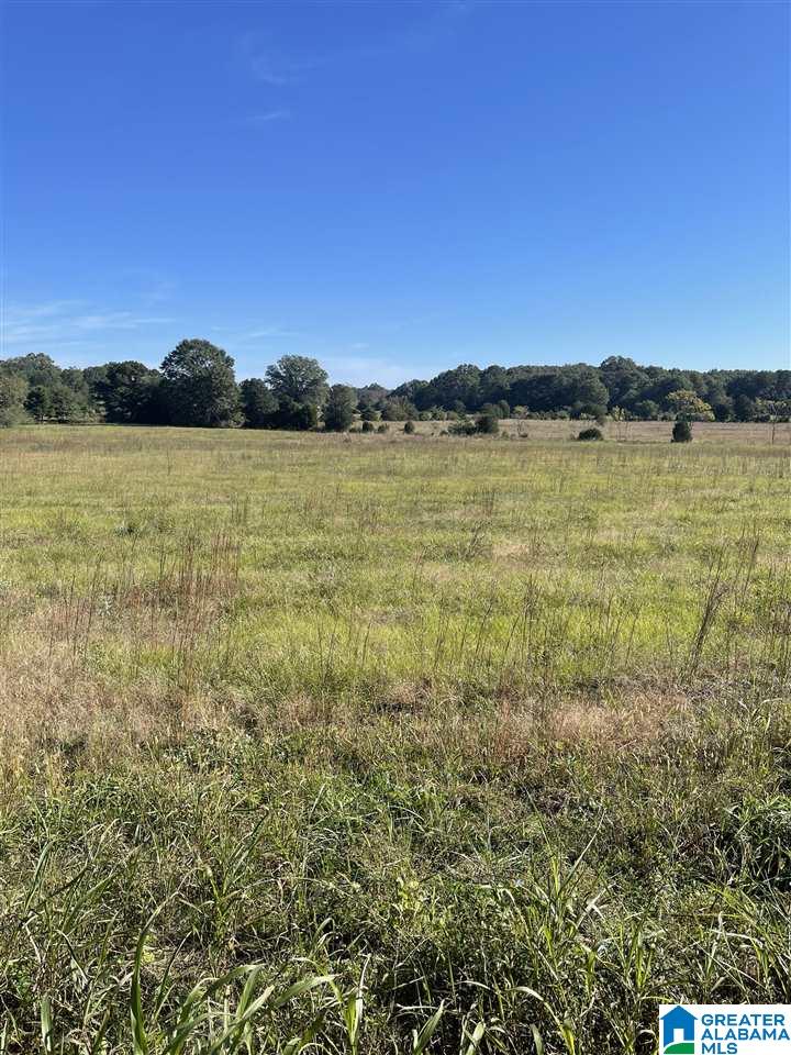 615-635 Watson Road, Unit 2 & 3 Cropwell, AL 35054 - Photo 5 of 13