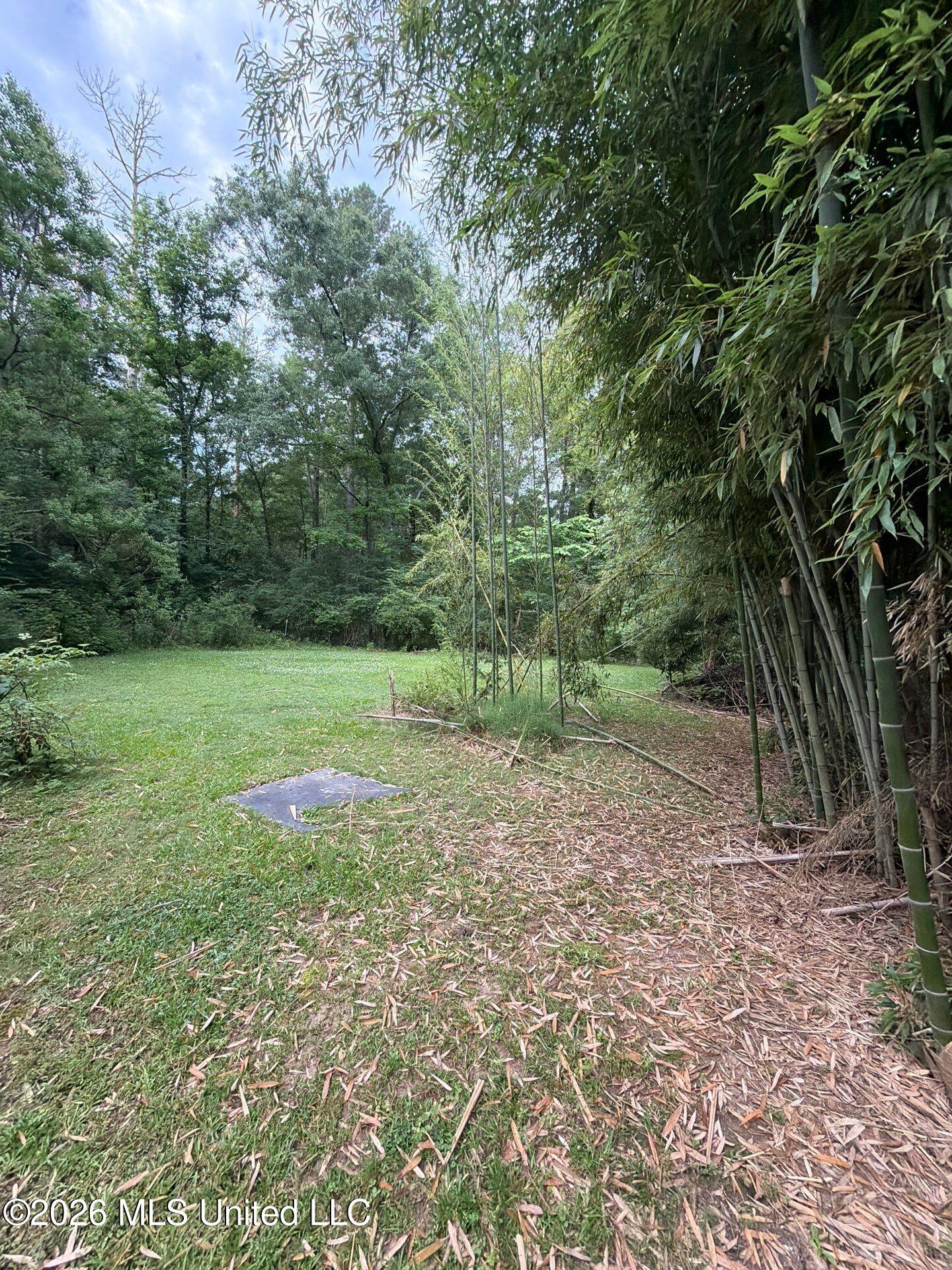 118 Canterbury Road Brandon, MS 39042 - Photo 35 of 60 8-May 19, 2026 13-05-49-YEnE