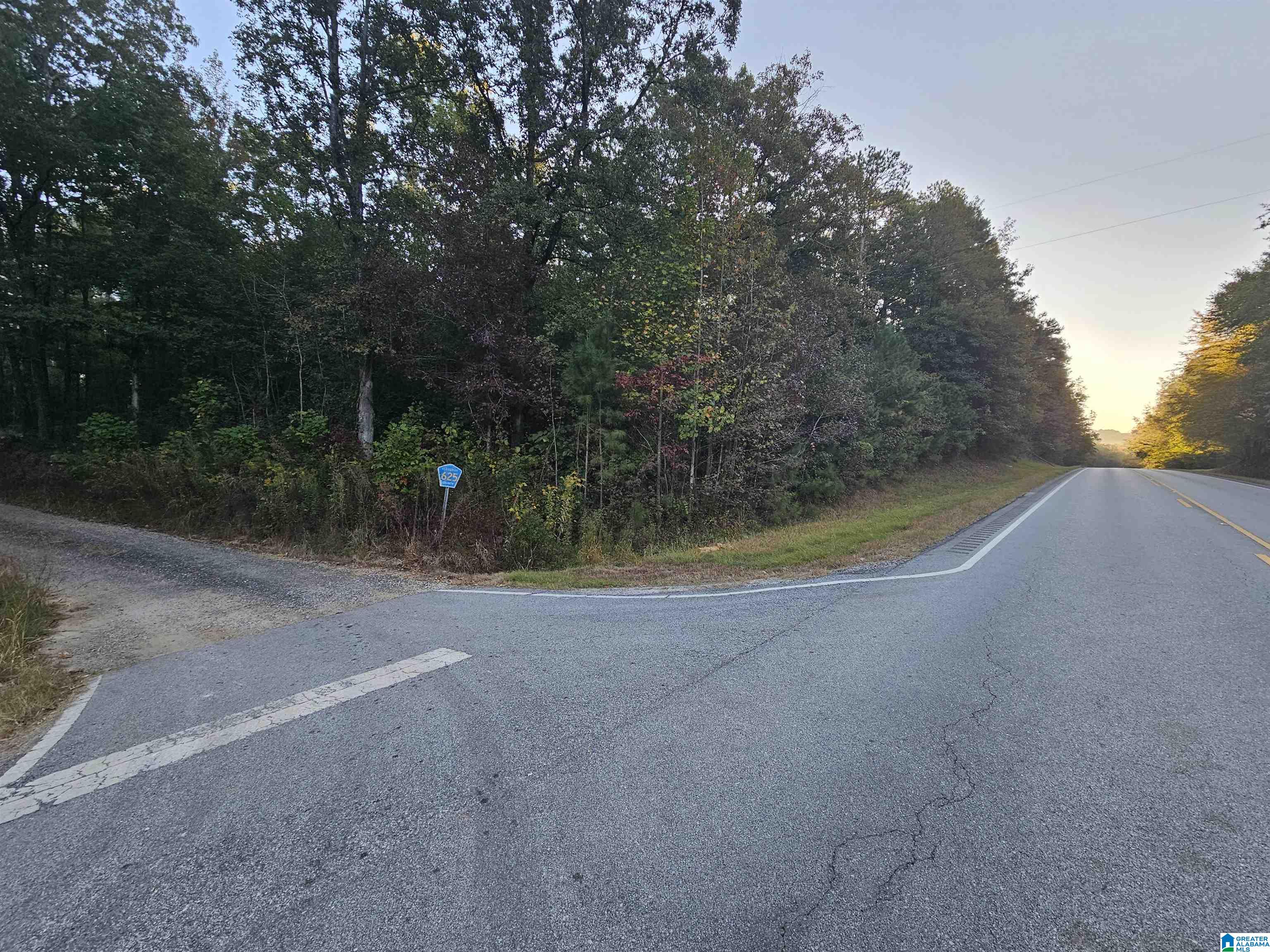 46 County Road 625 Ranburne, AL 36273 - Photo 4 of 5