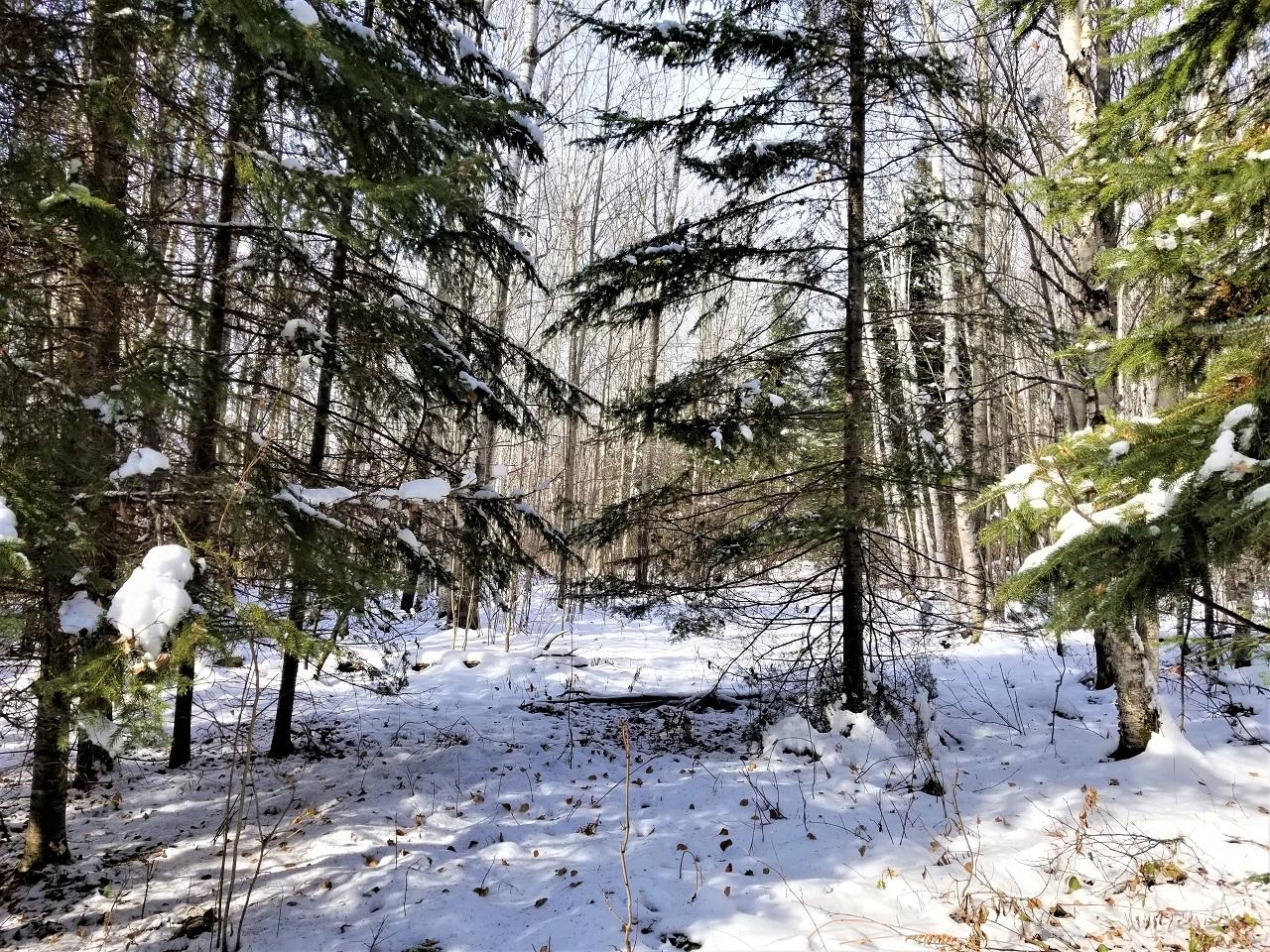 Lot 24 Nathan Pass Mercer, WI 54547 - Photo 2 of 13 Gallery Image 2