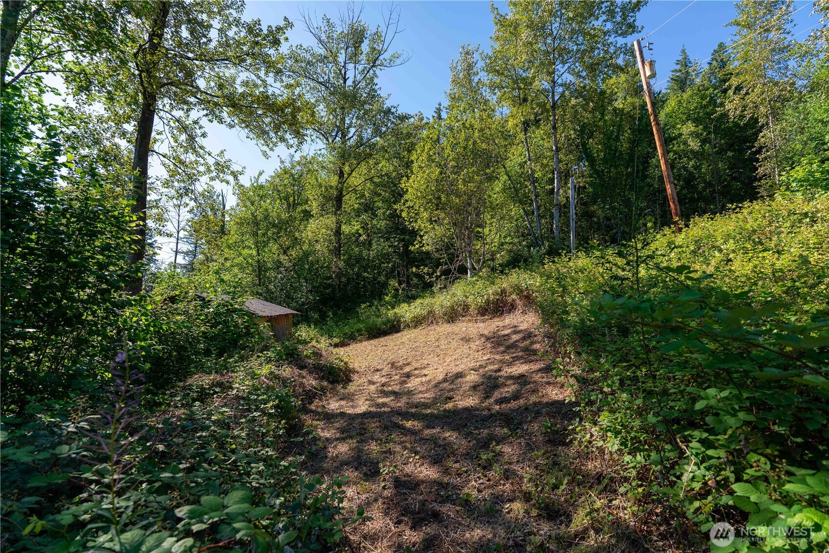 14405 Whiteman Road Gold Bar, WA 98251 - Photo 25 of 37
