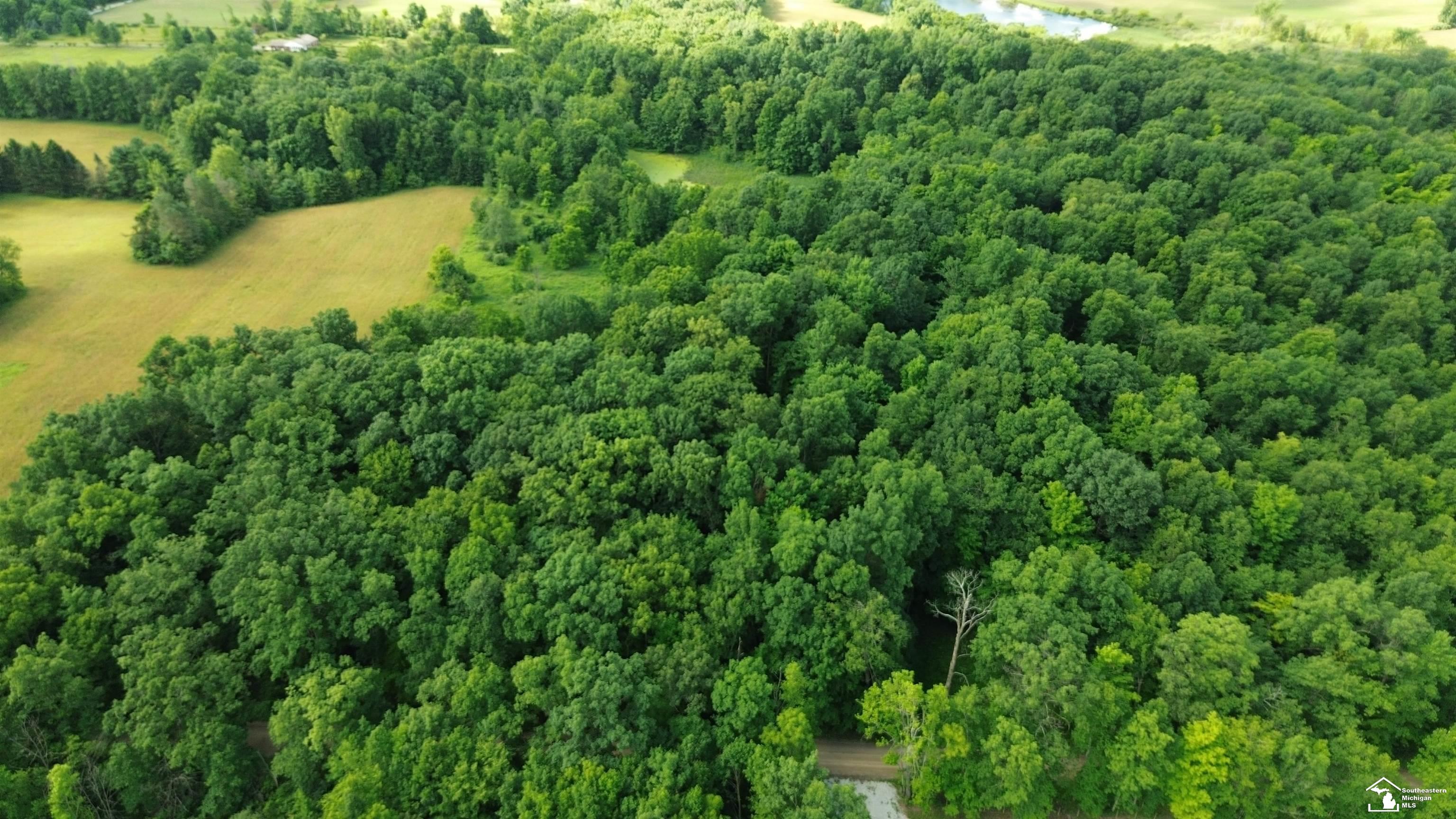 18155 Mahrle Road Manchester, MI 48158 - Photo 1 of 6