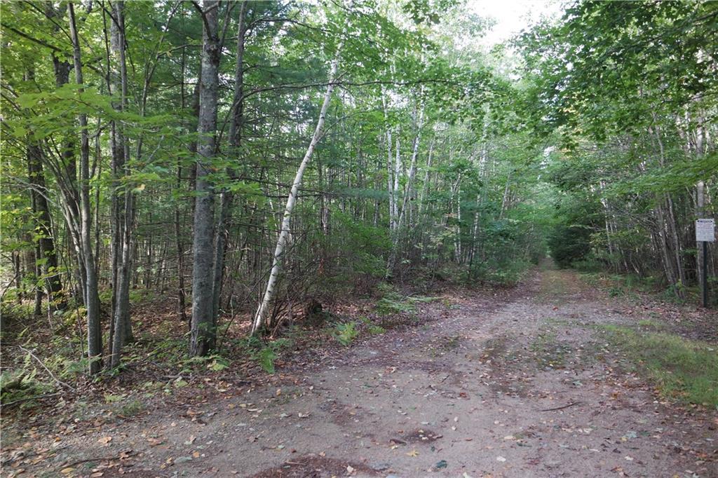 Lot 2 Cheney Woods Rd Wells Wells, ME 04090 - Photo 2 of 8 A Look Up the Old Allen Road with...