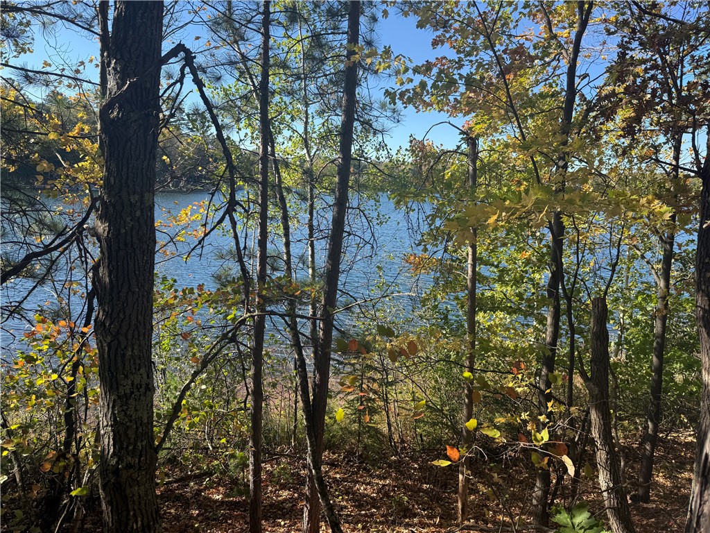 Lot 20 East Long Lake Road Iron River, WI 54847 - Photo 7 of 13