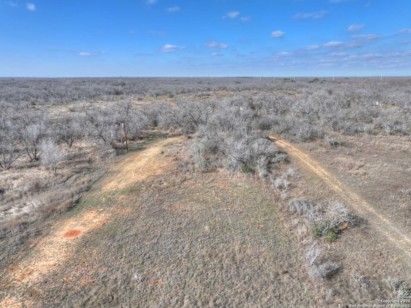 6093 Leal Road Pleasanton, TX 78064 - Photo 4 of 10