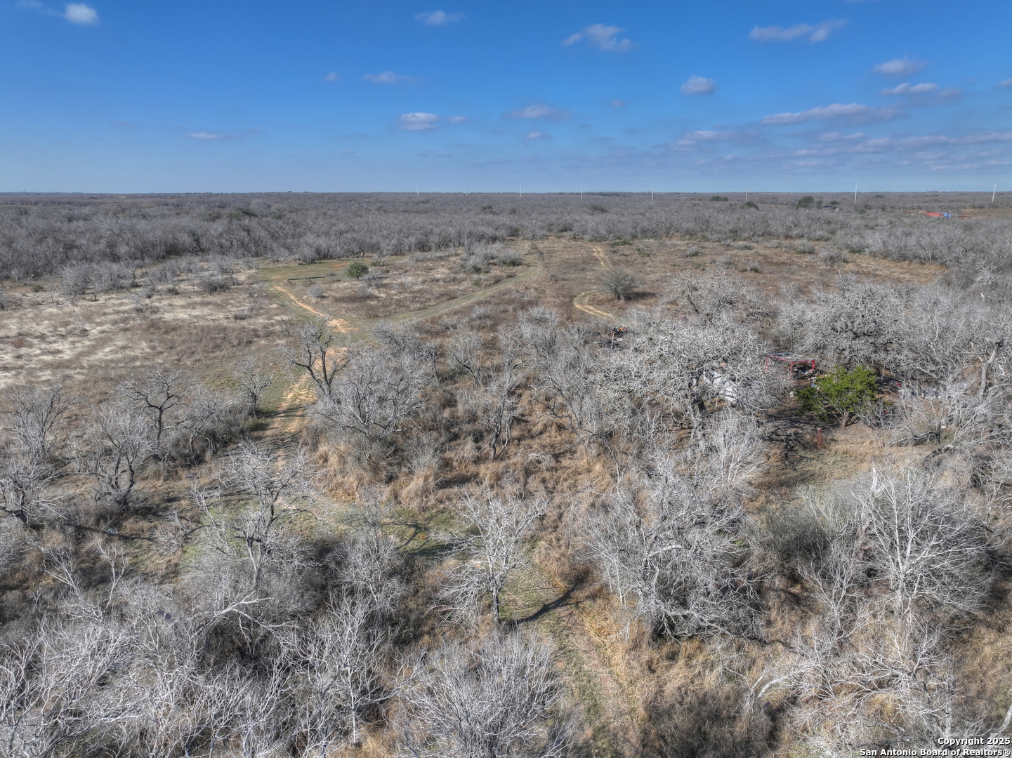 6093 Leal Road Pleasanton, TX 78064 - Photo 5 of 10