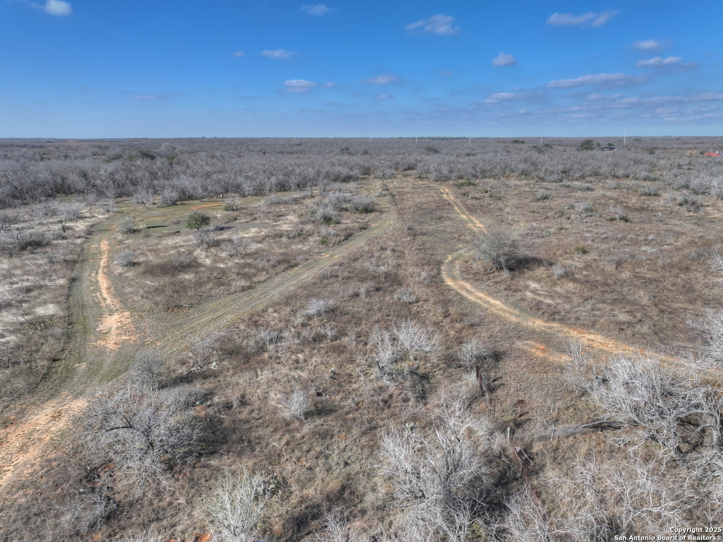 6093 Leal Road Pleasanton, TX 78064 - Photo 6 of 10