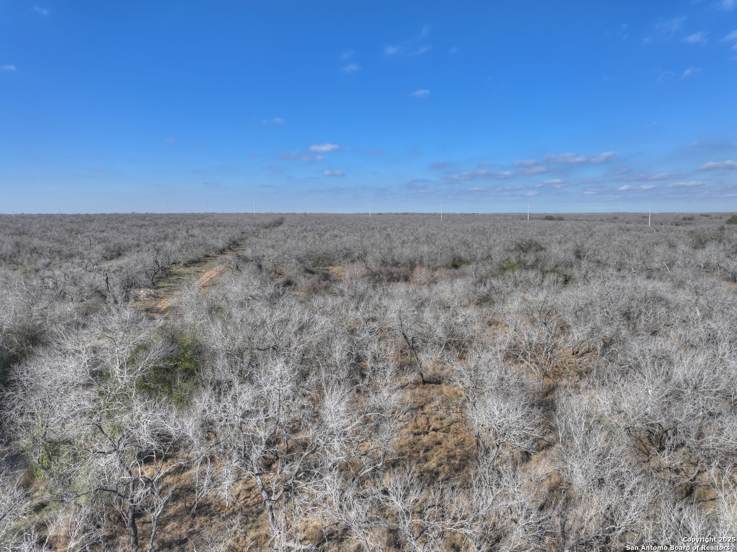 6093 Leal Road Pleasanton, TX 78064 - Photo 8 of 10