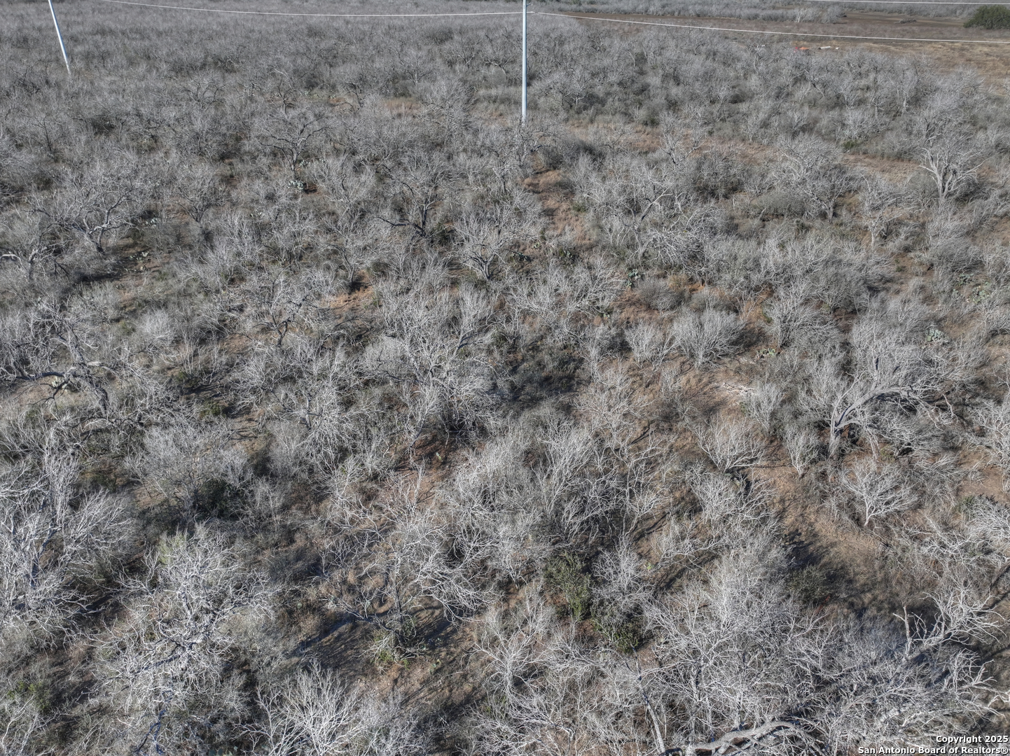 6093 Leal Road Pleasanton, TX 78064 - Photo 10 of 10