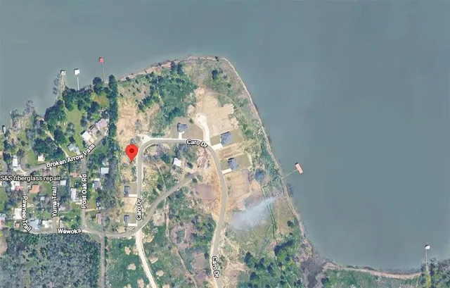 a close up of a flower in a garden