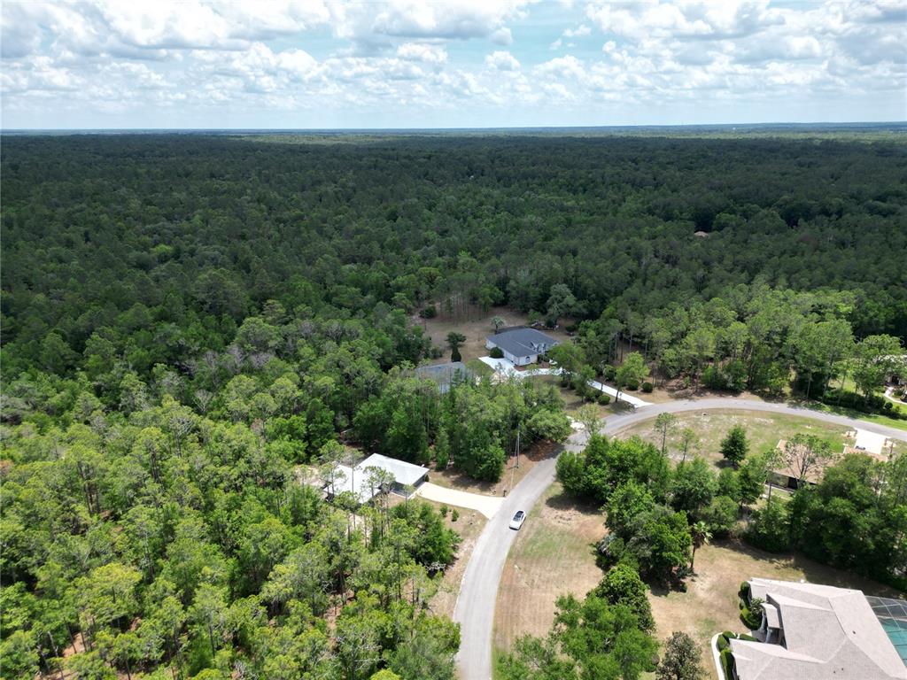 21635 Southwest 82nd Loop Dunnellon, FL 34431 - Photo 30 of 31