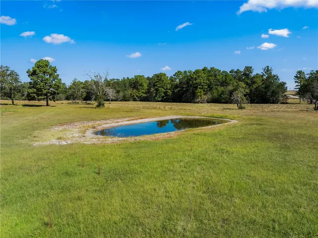 $825,000 | 7781 County Road 227, Bedias, TX 77831