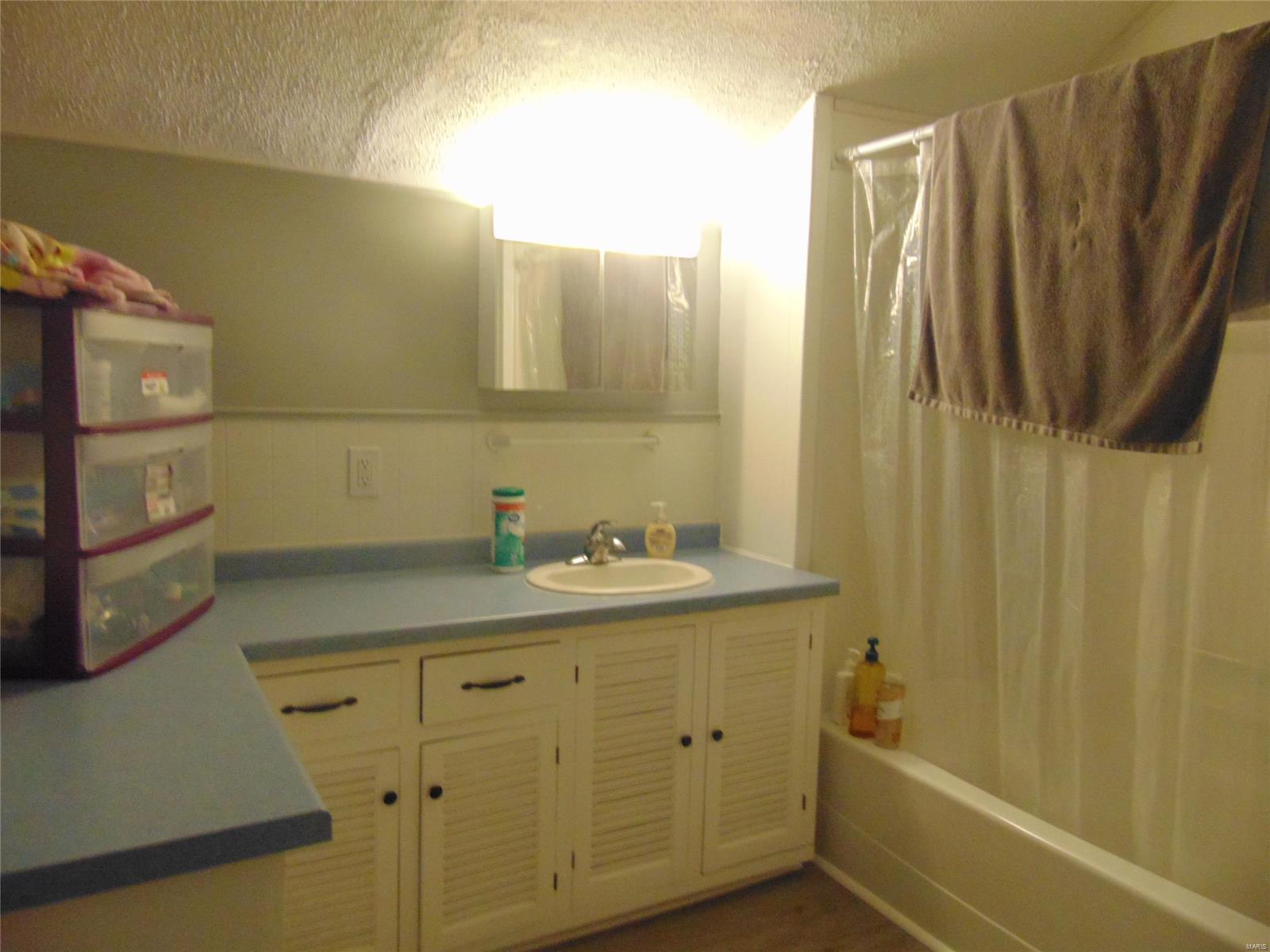 302 North Maple Avenue Roxana, IL 62084 - Photo 10 of 17
