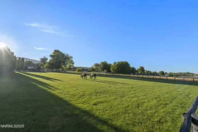 a view of a green field