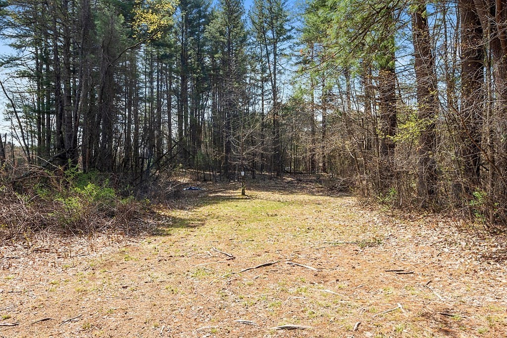 250 Brookside Road Orange, MA 01364 - Photo 28 of 30 a view of swimming pool with large trees