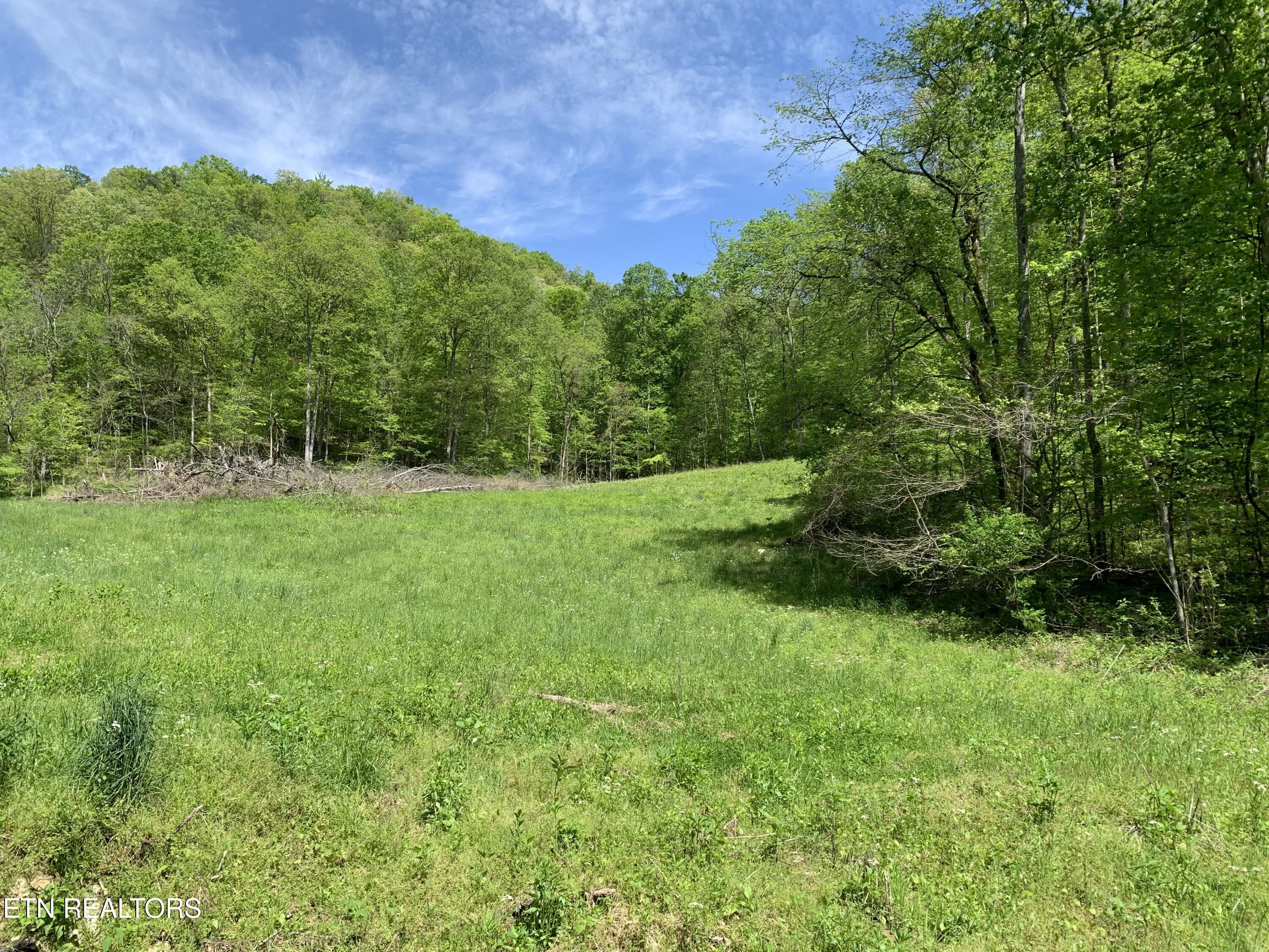 1088 Jones Ridge Road Speedwell, TN 37870 - Photo 39 of 53 IMG_0087