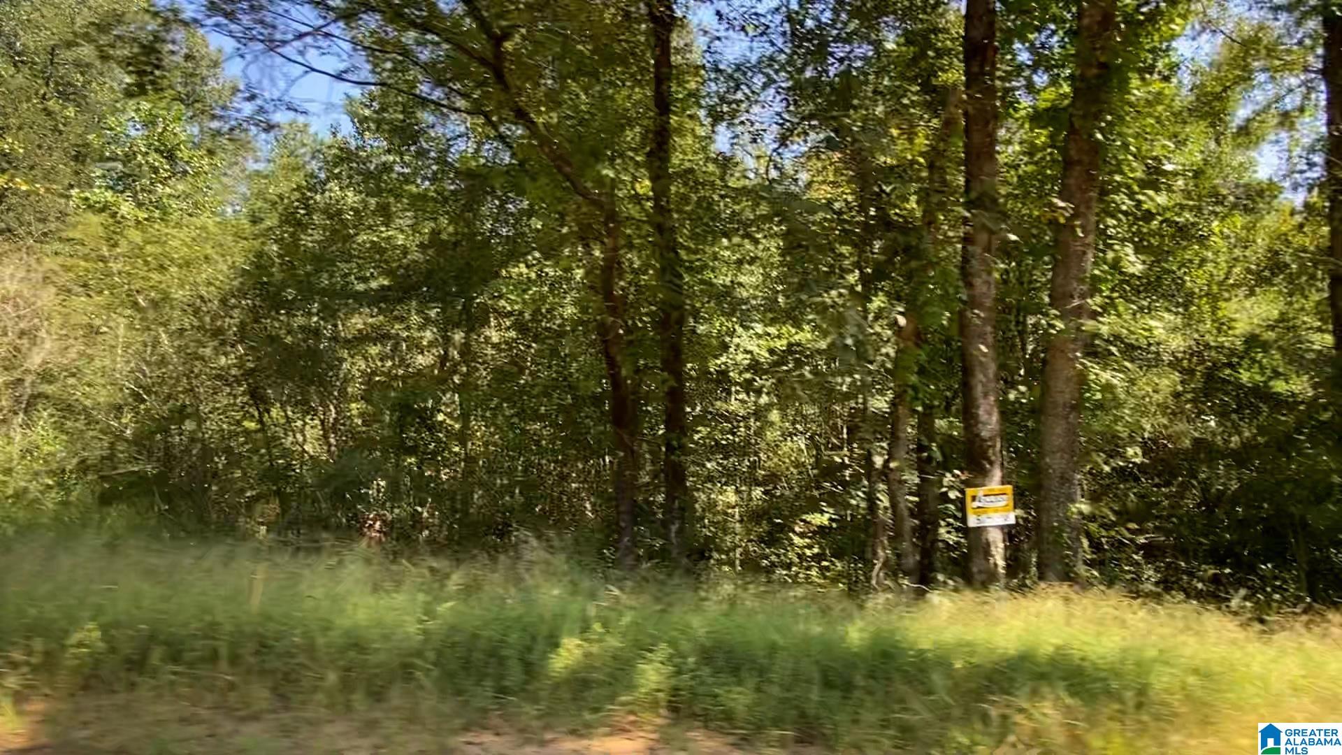 50 Scenic Valley Road, Unit TRACT 3 Springville, AL 35146 - Photo 5 of 10