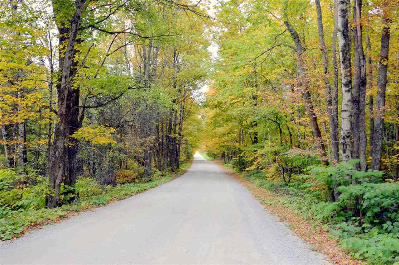 694 Lake Ninevah Road Mount Holly, VT 05758 - Photo 40 of 40