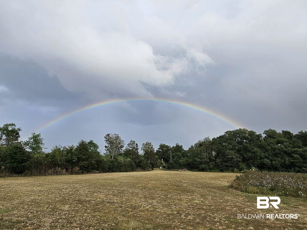 16000 John Bauer Road Summerdale, AL 36580 - Photo 34 of 34 View of nature