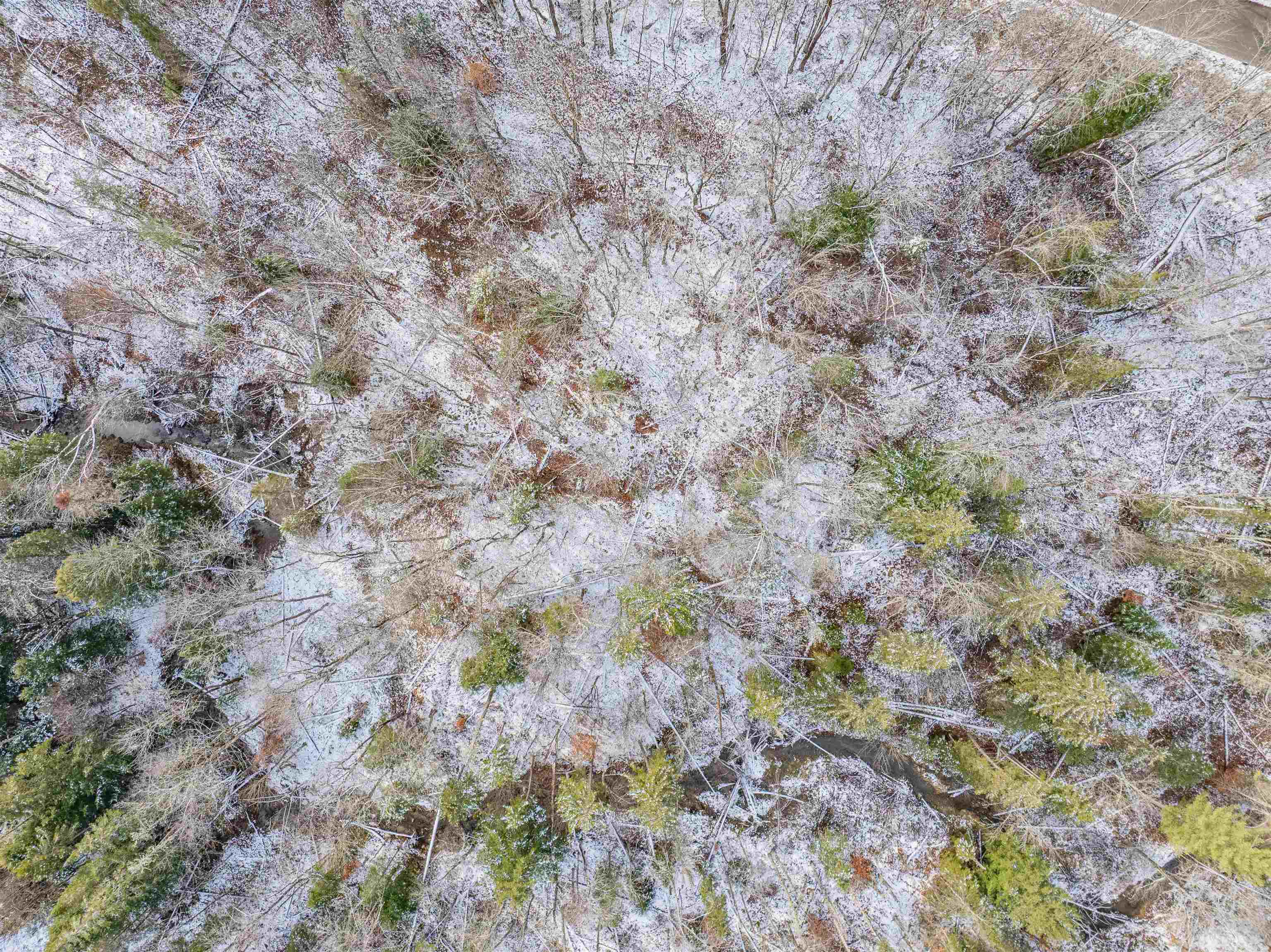 Lot B1 Gould Hill Road, Unit B1 Montpelier, VT 05602 - Photo 2 of 10