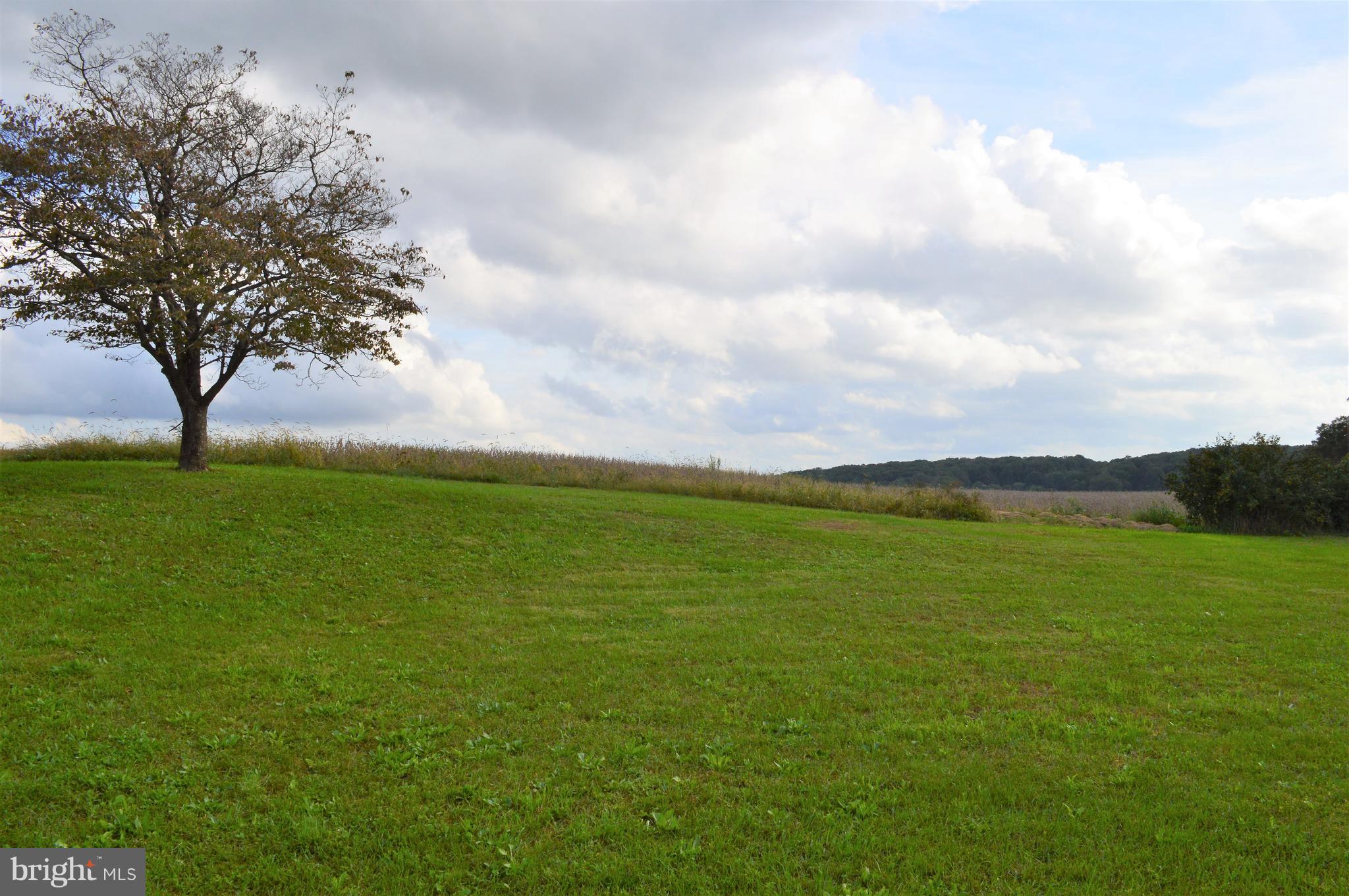 2209 Fairmount Road Hampstead, MD 21074 - Photo 29 of 29 View from back of house