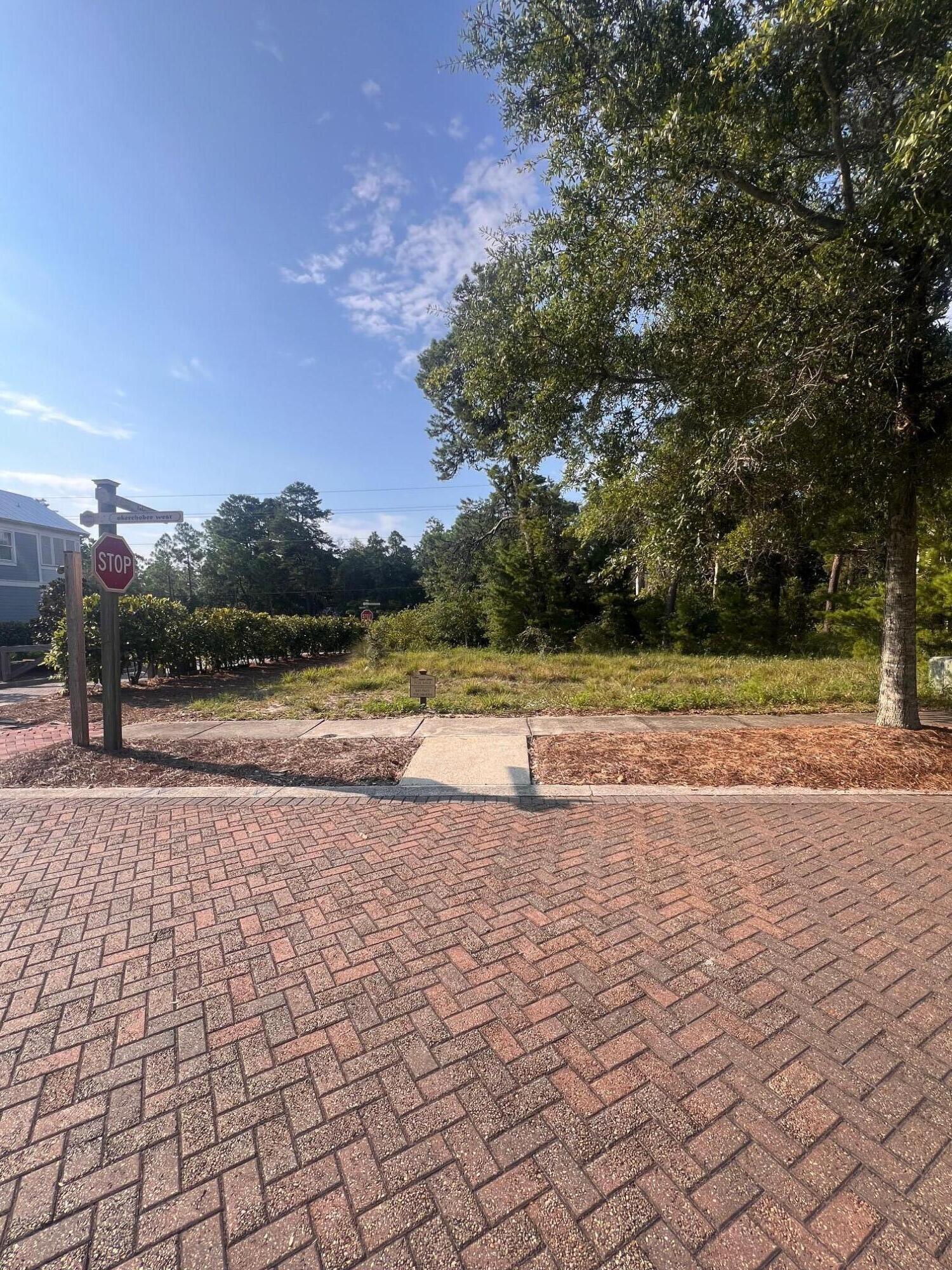 14 Okeechobee West Santa Rosa Beach, FL 32459 - Photo 2 of 3 a view of a pathway both a yard