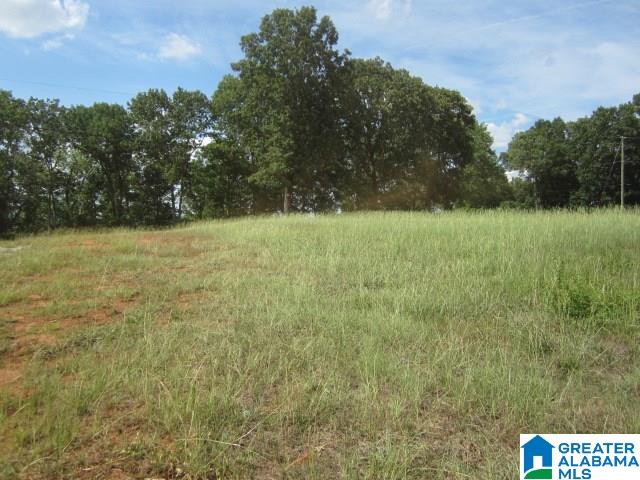 South Shades Crest Road, Unit 1 Birmingham, AL 35214 - Photo 7 of 7