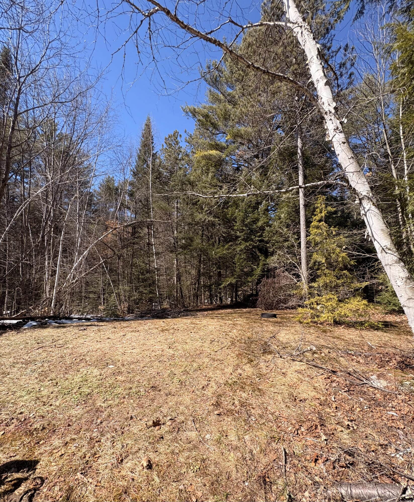 24 Conejo Lane Buckfield, ME 04220 - Photo 42 of 54 IMG_4029