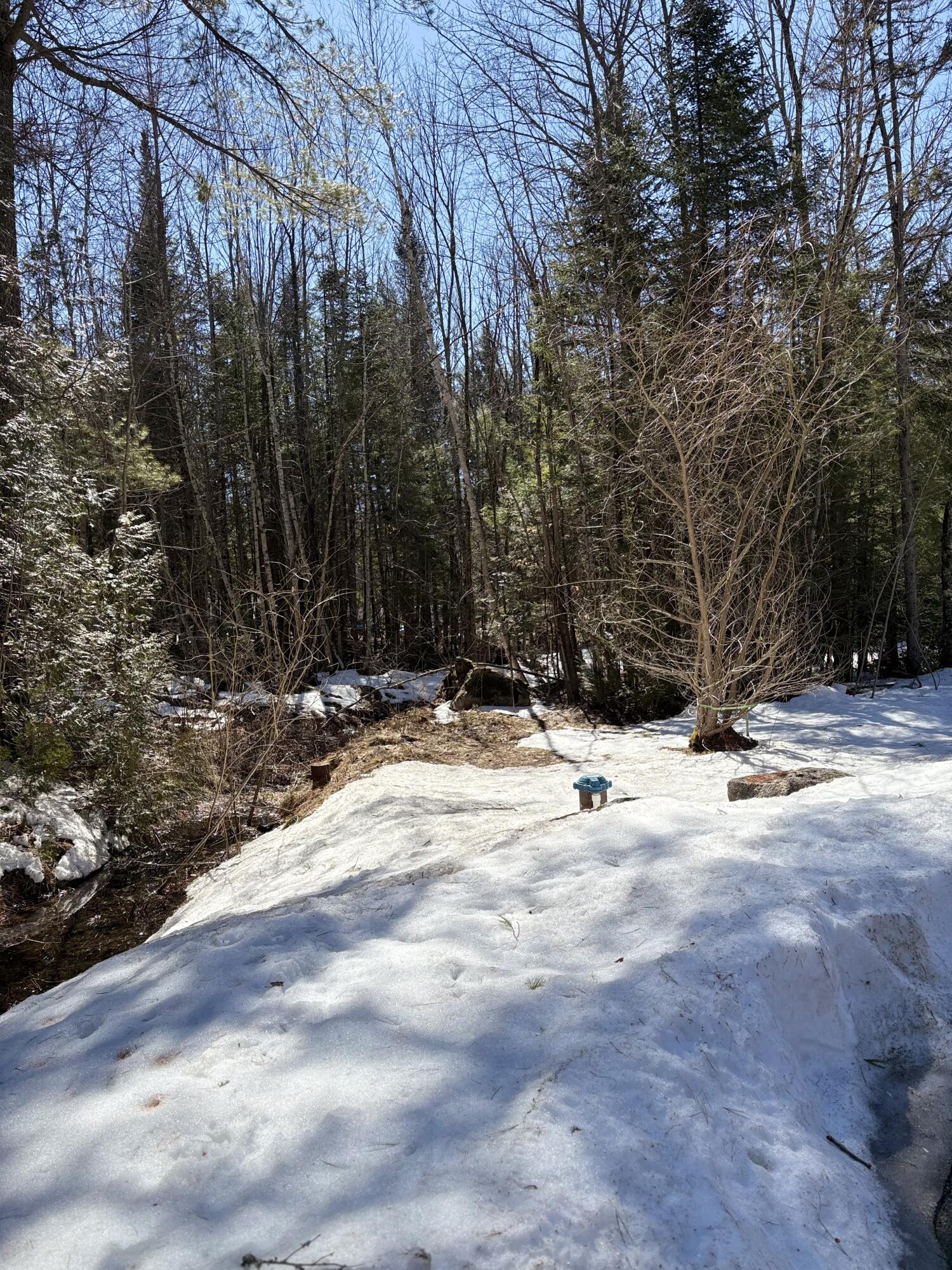 24 Conejo Lane Buckfield, ME 04220 - Photo 46 of 54 IMG_3952