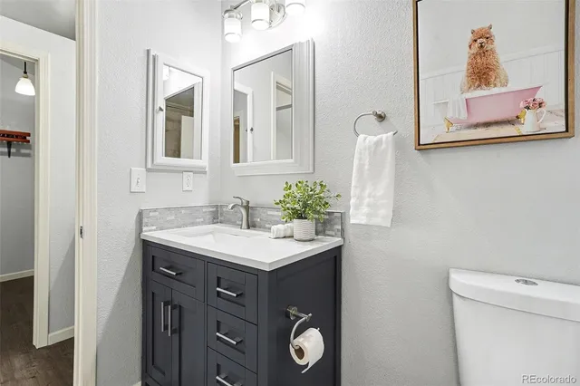 a bathroom with a sink vanity and a toilet