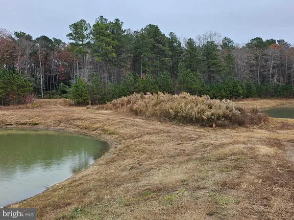 a view of a lake view