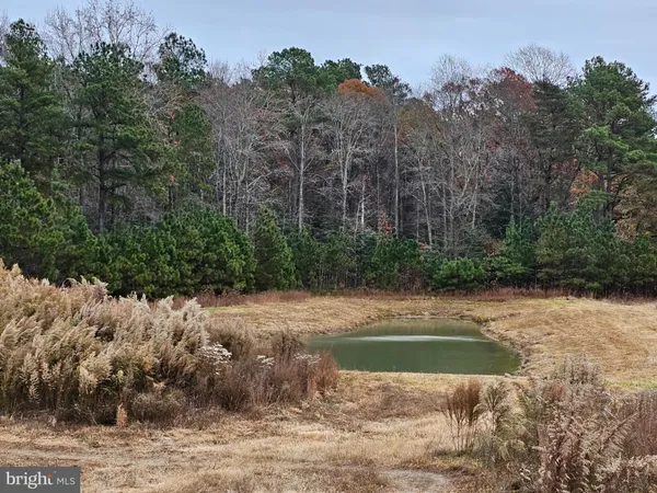 a view of lake with green space