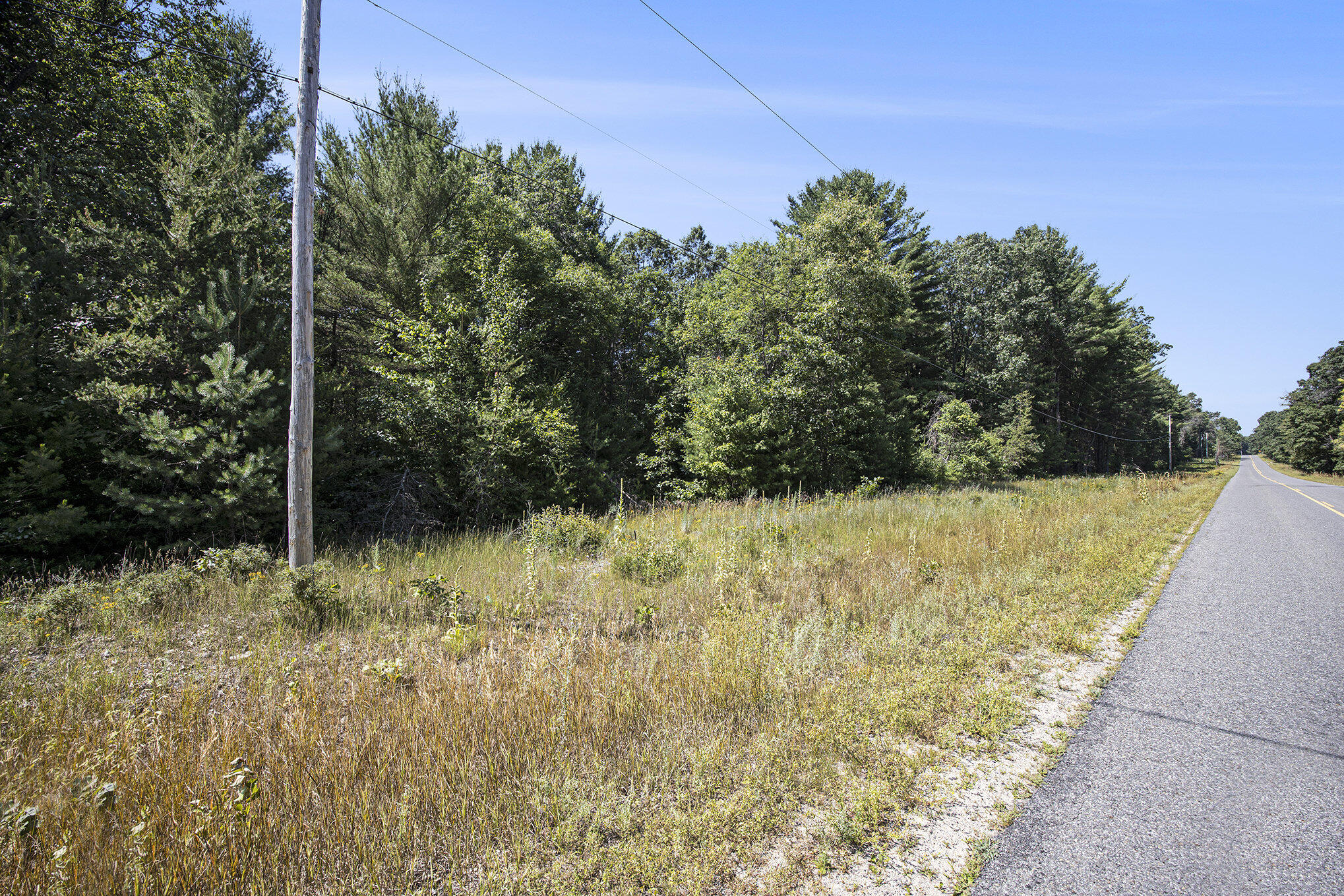 Lot E Hayes Road Mecosta, MI 49332 - Photo 18 of 40 Ground Level