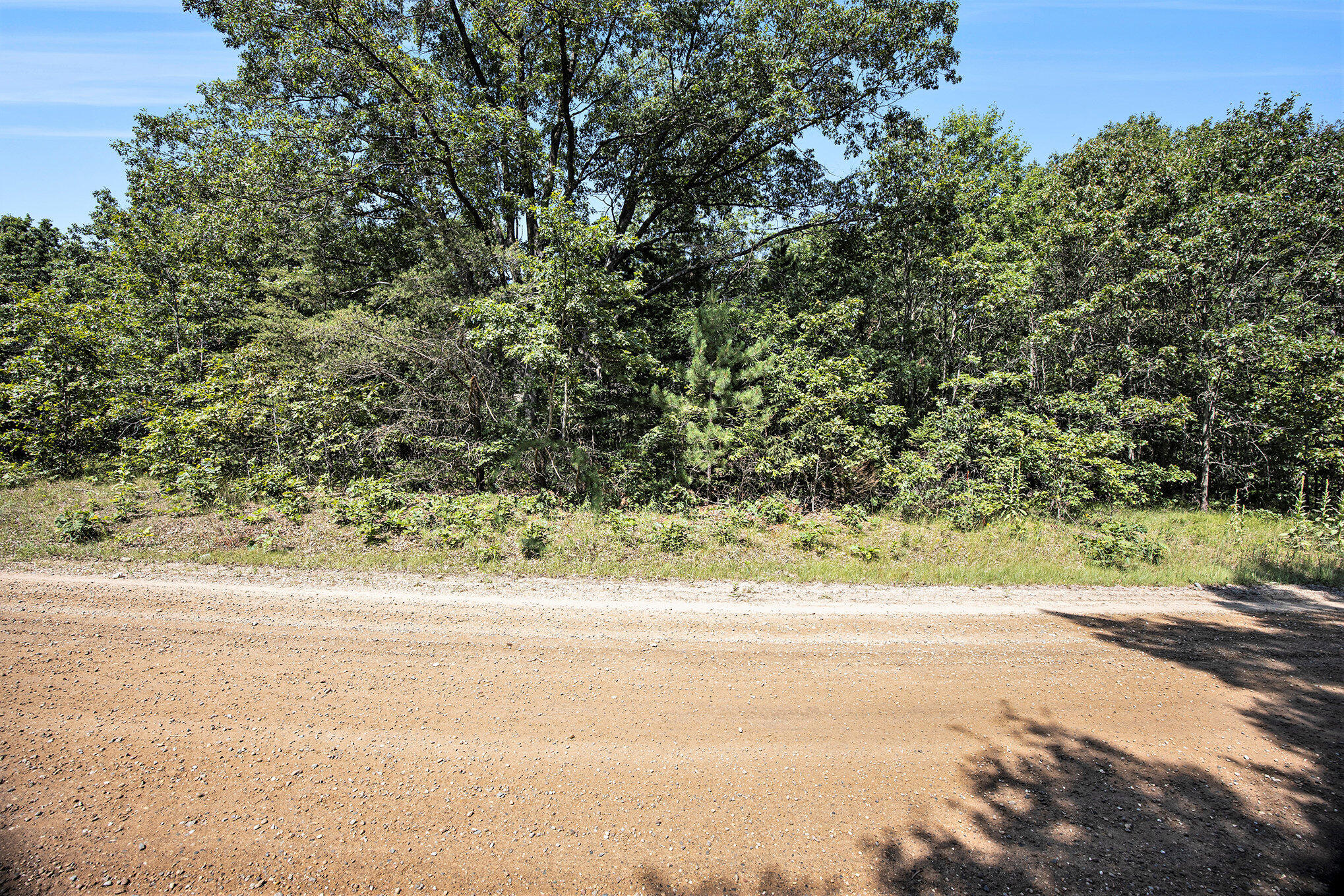 Lot E Hayes Road Mecosta, MI 49332 - Photo 22 of 40 Ground Level