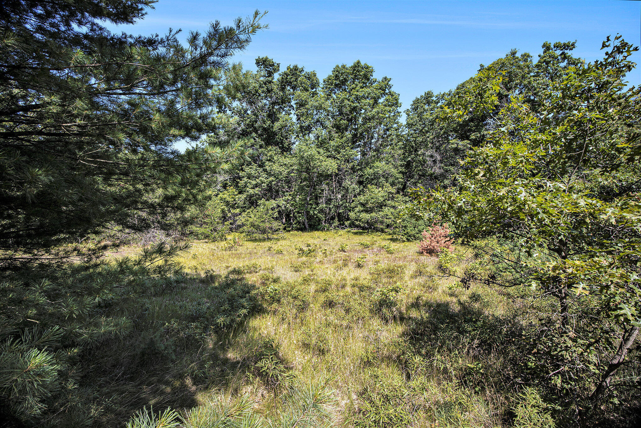 Lot E Hayes Road Mecosta, MI 49332 - Photo 23 of 40 Ground Level
