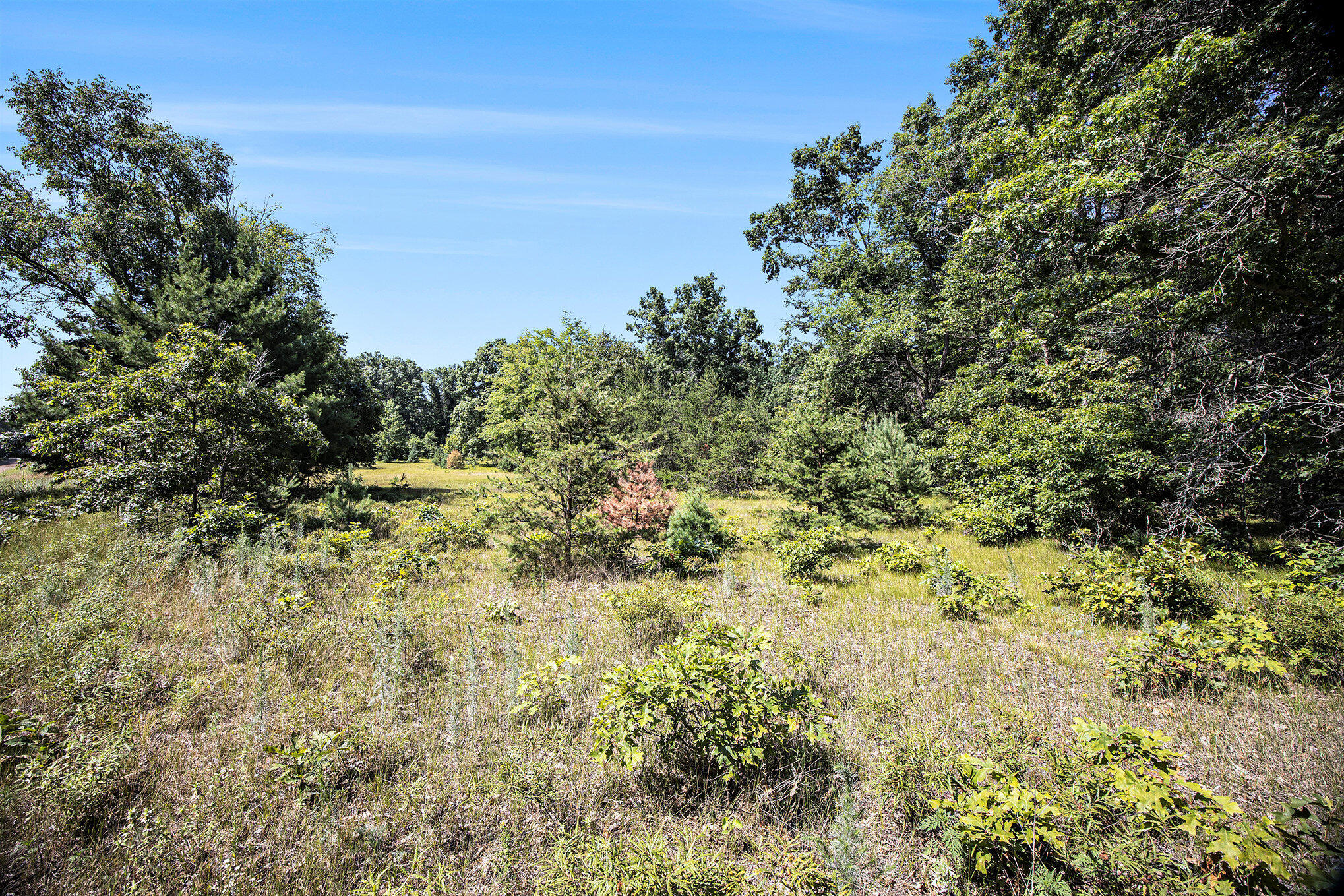 Lot E Hayes Road Mecosta, MI 49332 - Photo 24 of 40 Ground Level