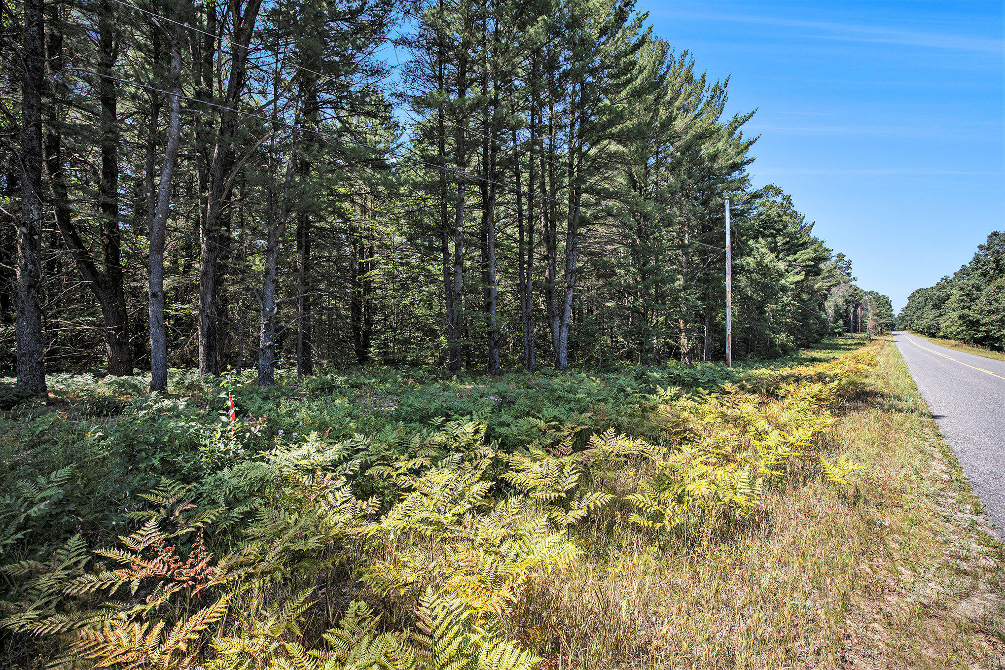 Lot E Hayes Road Mecosta, MI 49332 - Photo 25 of 40 Ground Level