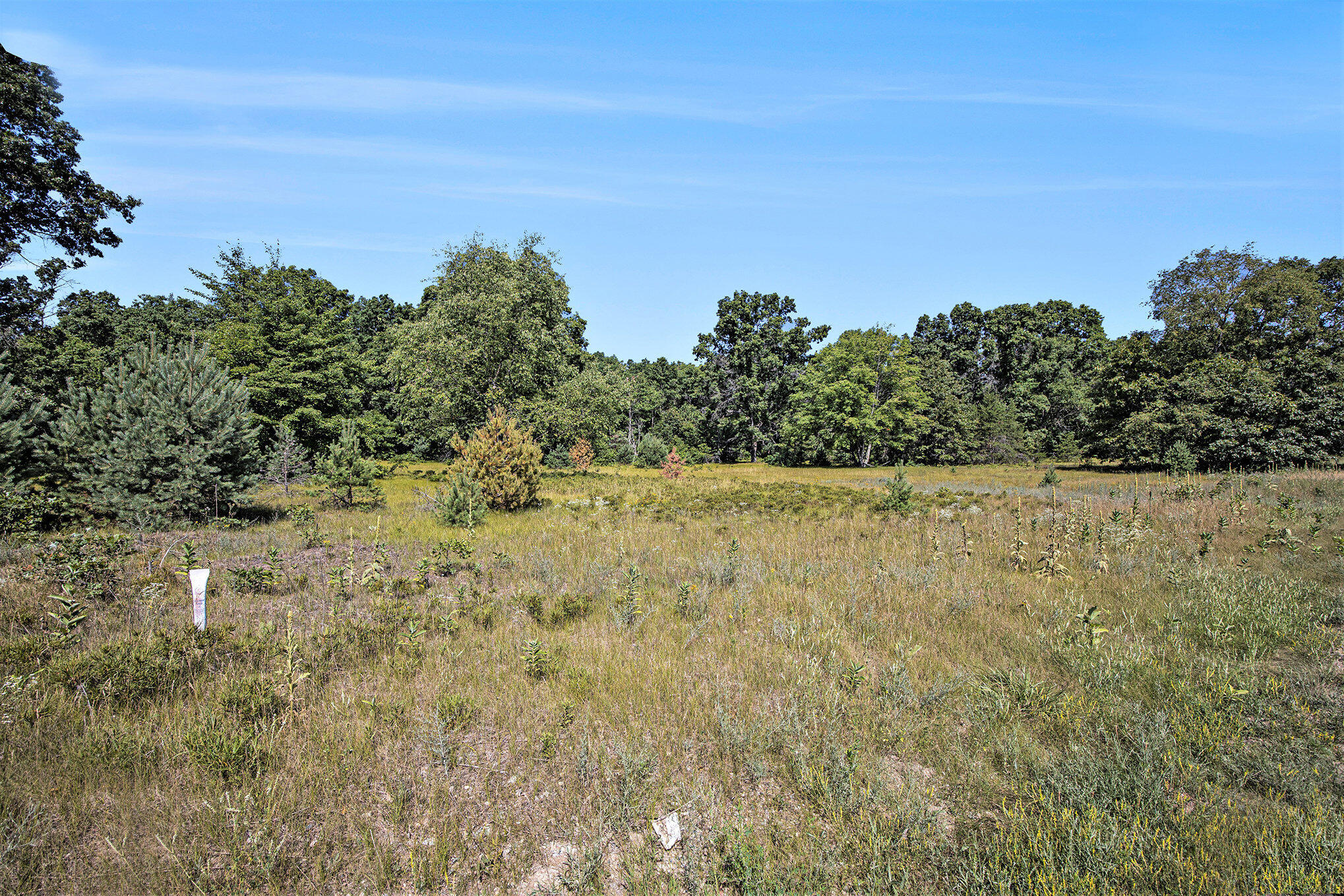 Lot E Hayes Road Mecosta, MI 49332 - Photo 26 of 40 Ground Level
