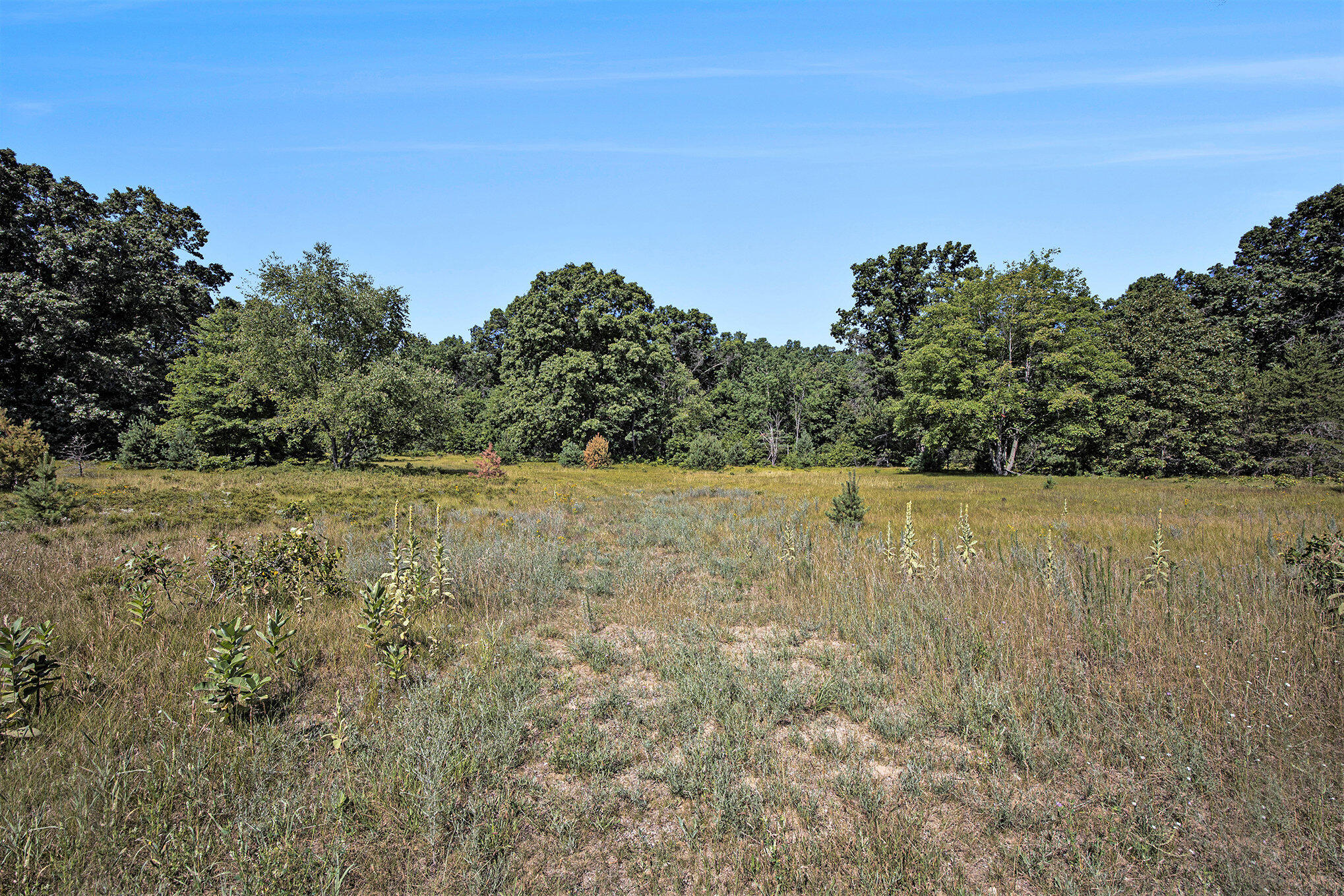 Lot E Hayes Road Mecosta, MI 49332 - Photo 27 of 40 Ground Level