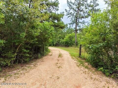 Mcneill Mchenry Road Poplarville, MS 39470 - Photo 12 of 14 12