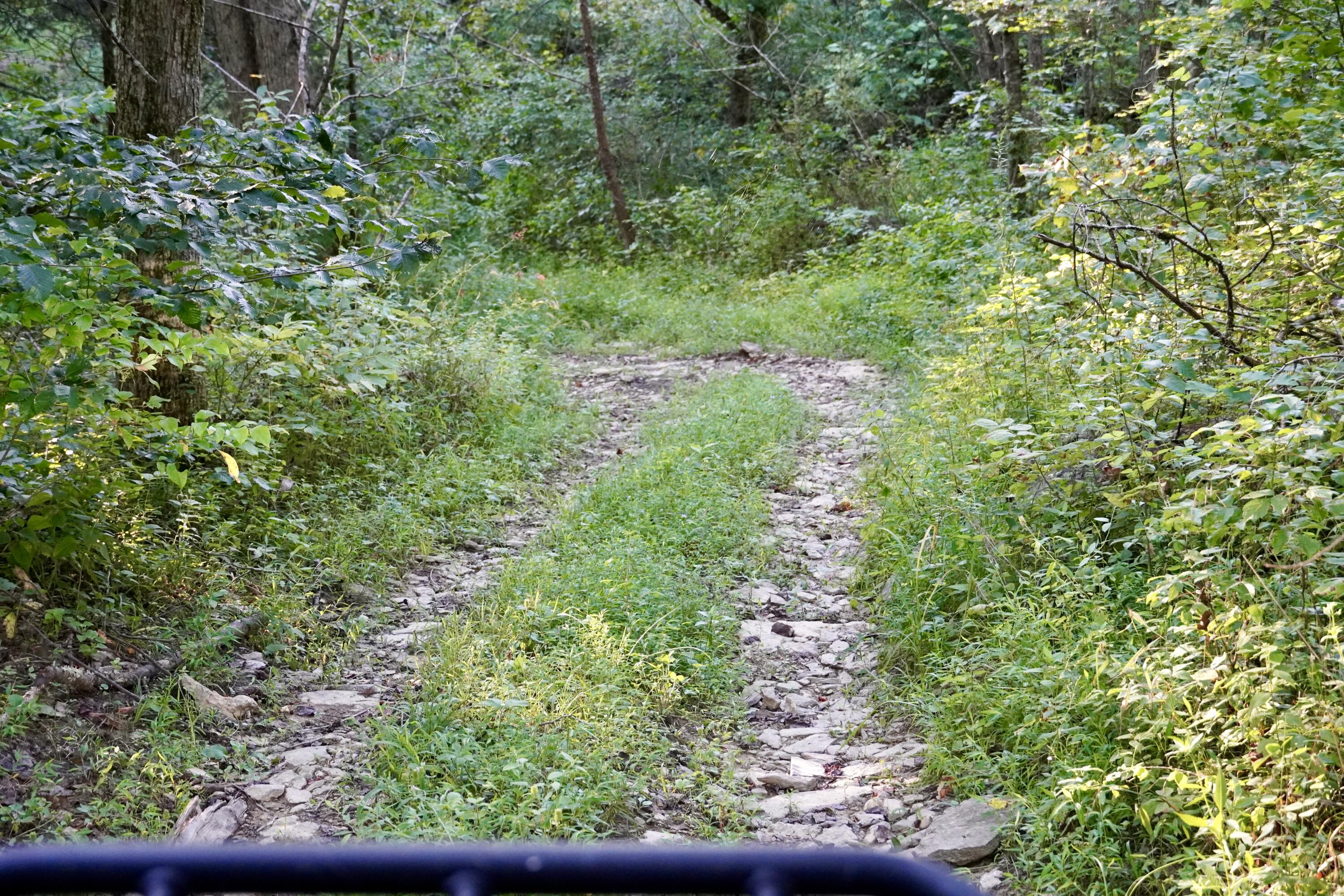 6265 Georgetown Road Owenton, KY 40359 - Photo 28 of 149 OWEN24088