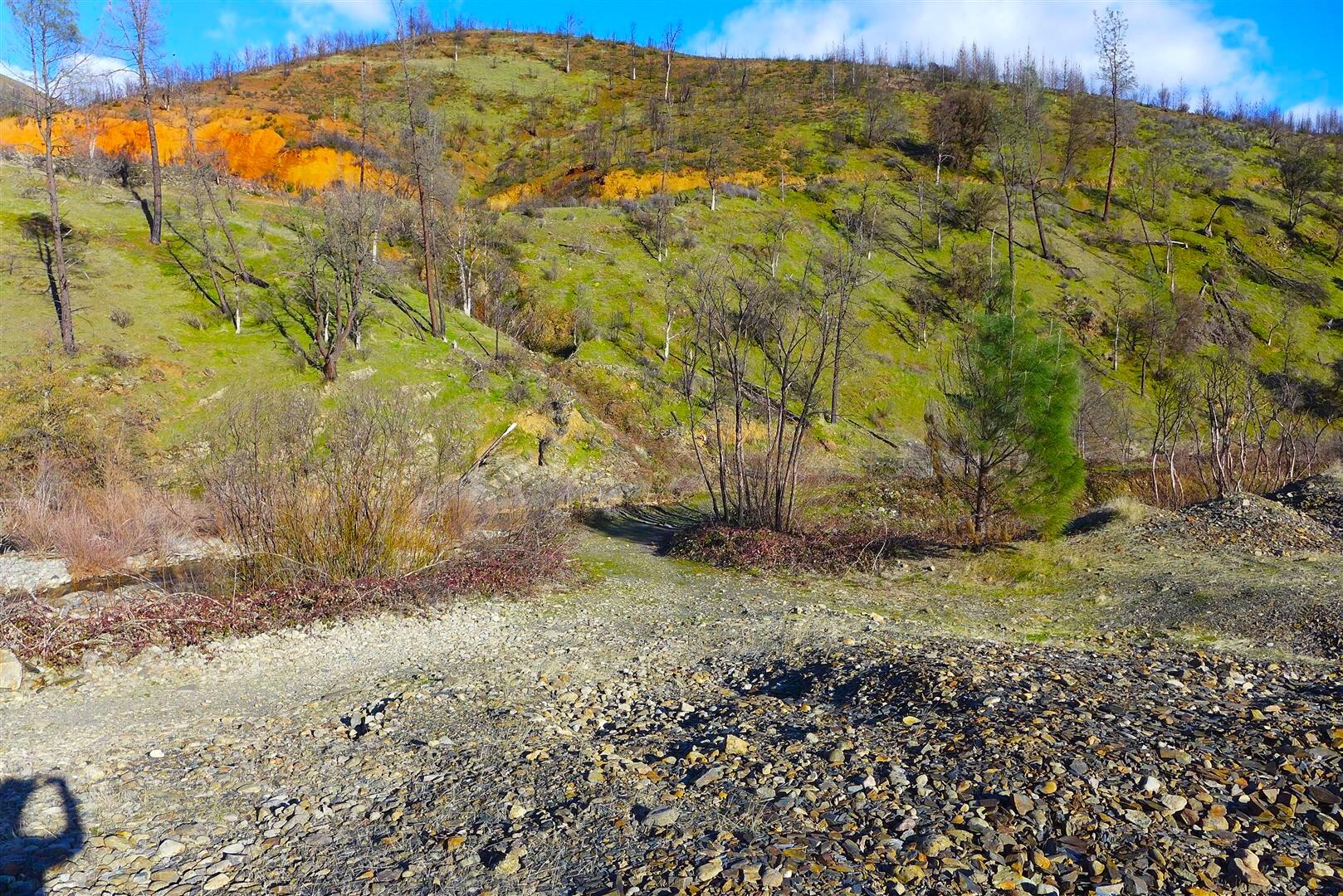 0 Trinity Mountain Road French Gulch, CA 96033 - Photo 23 of 30 a view of a yard