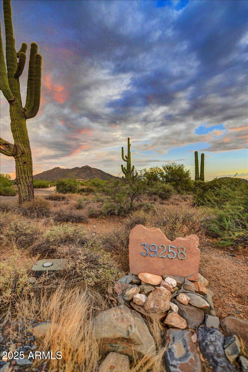 39258 North Ridgeway Drive Cave Creek, AZ 85331 - Photo 7 of 51 a view of a city from a yard